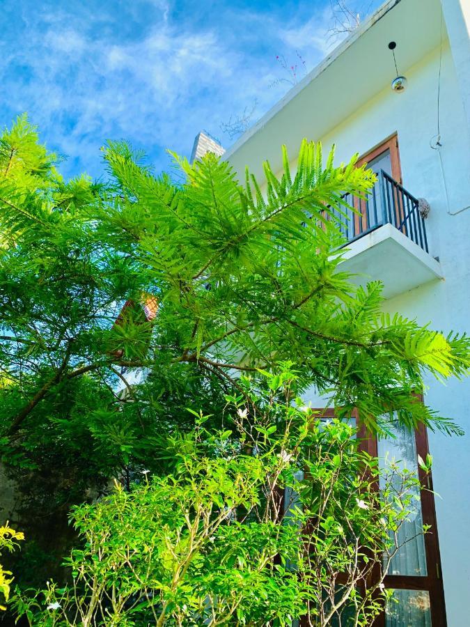 Jungle City Hostel Galle Kültér fotó